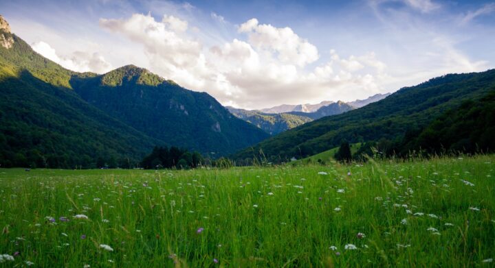mountains; green field; clue sky; grass; nature; photo of nature with a blue sky and clouds mountains in the background and a green grassy field with flowers